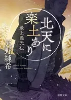 最上義光伝