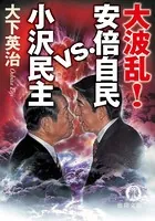 大波乱！ 安倍自民VS小沢民主