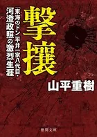 撃攘 「東海のドン」平井一家八代目・河澄政照の激烈生涯
