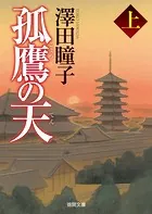 孤鷹の天