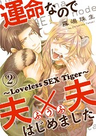 運命なので夫×夫はじめました 2〜Loveless SEX Tiger〜