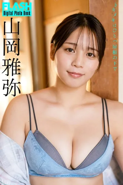 FLASHデジタル写真集 山岡雅弥 トキメキはひとつ屋根の下で