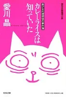 カレーライスは知っていた〜美少女代理探偵の事件簿〜