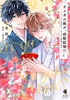 オメガの俺が、政略結婚!? 上〜アルファの旦那様と、あまあま新婚生活中!〜【単行本版】【特典ペーパー付】