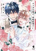 オメガの俺が、政略結婚！？〜アルファの旦那様と、あまあま新婚生活中！〜【単行本版】