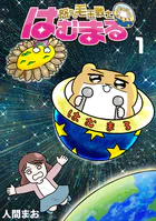 怒りの毛玉戦士 はむまる