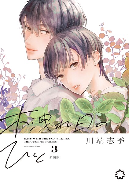 木洩れ日のひと 新装版 3