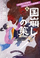 忍術医少弐東馬 伊賀仏村十六家騒動