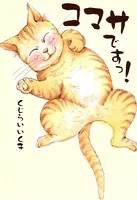 コマサですっ！