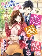 恋は瞬く間にやってくる〜極上な彼の全力疾走する求愛〜