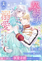 契約妻なのに夫が溺愛してくるのですが〜騎士団長の執愛求婚は追加オプションつき〜 1