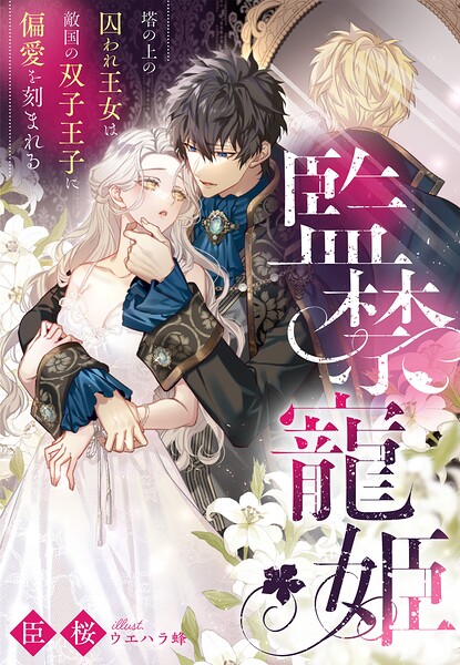 監禁寵姫〜塔の上の囚われ王女は敵国の双子王子に偏愛を刻まれる〜