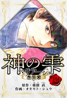 マリアージュ 〜神の雫 最終章〜 愛蔵版 13