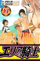 エリアの騎士 愛蔵版 13