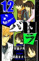 シバトラ 愛蔵版 12