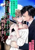 クールな味噌屋の若旦那とお見合いしたら、溺甘結婚生活始まりました。