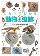 くらべてわかる動物の痕跡