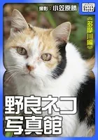 野良ネコ写真館【多摩川編】