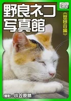 野良ネコ写真館【世田谷編】