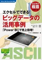 ビジネス極意シリーズ エクセルでできる！ ビッグデータの活用事例 「Power BI」で売上倍増！