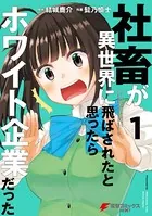 社畜が異世界に飛ばされたと思ったらホワイト企業だった