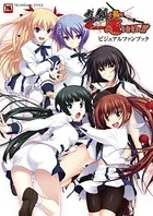 真剣で私に恋しなさい！　メモリアルアート　ビジュアルファンブック 真剣で私に恋しなさい！ ビジュアルファンブック - テック