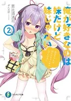 俺が好きなのは妹だけど妹じゃない 7 - 恵比須清司/ぎん太郎