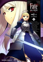Fate/stay night （11）