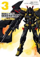 機動戦士ガンダムSEED ASTRAY Re: Master Edition （3）