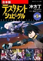 【合本版】テスタメントシュピーゲル