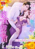一夜の過ちのお相手は肉食御曹司でした 〜淫靡な激愛は再会から〜