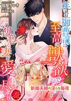 年上御曹司は至高の獣欲で初心な妻を愛し尽くす 〜新婚夫婦の淫らな毎夜〜