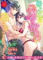 極上社長と偽装の蜜月を過ごすことになりまして 〜淫靡な新婚旅行から始まる真実愛〜