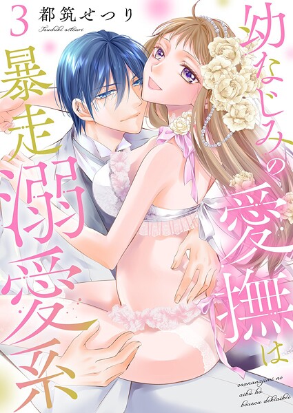 幼なじみの愛撫は暴走溺愛系【描き下ろしおまけ付き特装版】