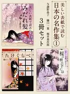 美しい表紙で読む日本の名作集