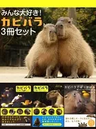 みんな大好き！ カピバラ3冊セット