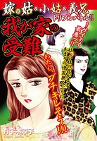 嫁vs姑＆小姑＆義兄 トリプルバトル 我が家の受難 嫁姑シリーズ 29