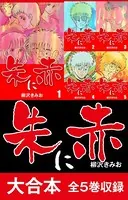 朱に赤 大合本