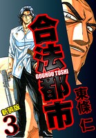 合法都市 新装版 3