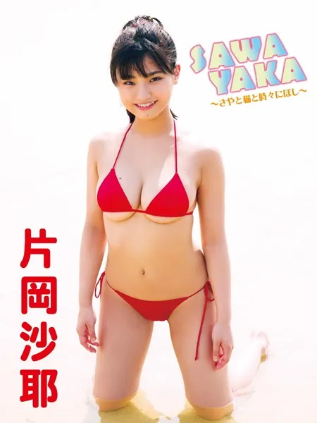SAWAYAKA〜さやと猫と時々にぼし〜