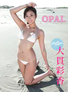 大貫彩香デジタル写真集 OPAL