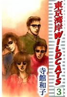 東京湾岸 WILD CATS