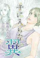 手に入らない翼