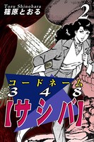 コードネーム348【サシバ】