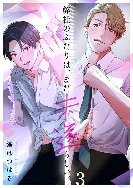 弊社のふたりは、まだ未遂らしい。（単話）