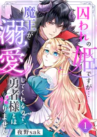 囚われの姫ですが…魔王が溺愛してくれるので、勇者様とは帰りません！（単話）