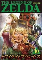 ゼルダの伝説 トワイライトプリンセス （10）