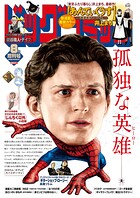 ビッグコミック増刊 29