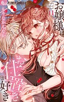 お嬢様はお仕置きが好き 11