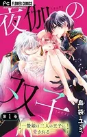 夜伽の双子―贄姫は二人の王子に愛される―【マイクロ】（単話）